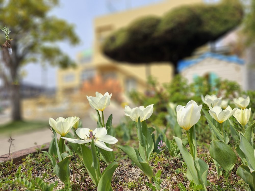 20260328111940.jpg 20260328111940.jpg