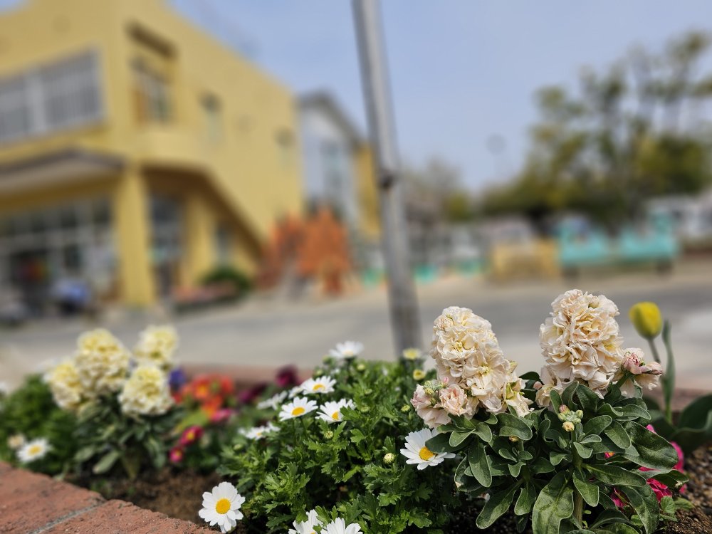 20260328111942.jpg 20260328111942.jpg